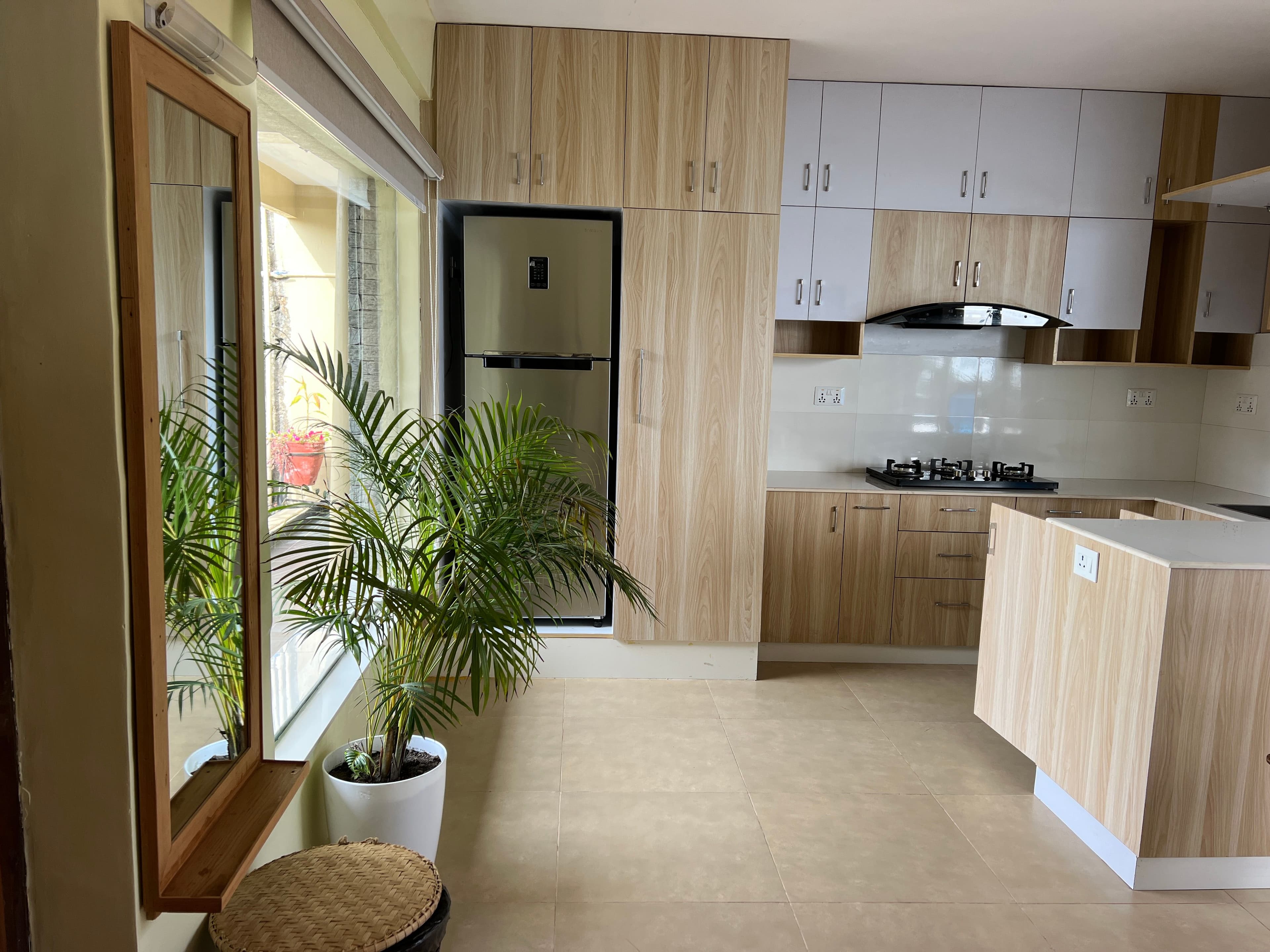 kitchen room with a plant