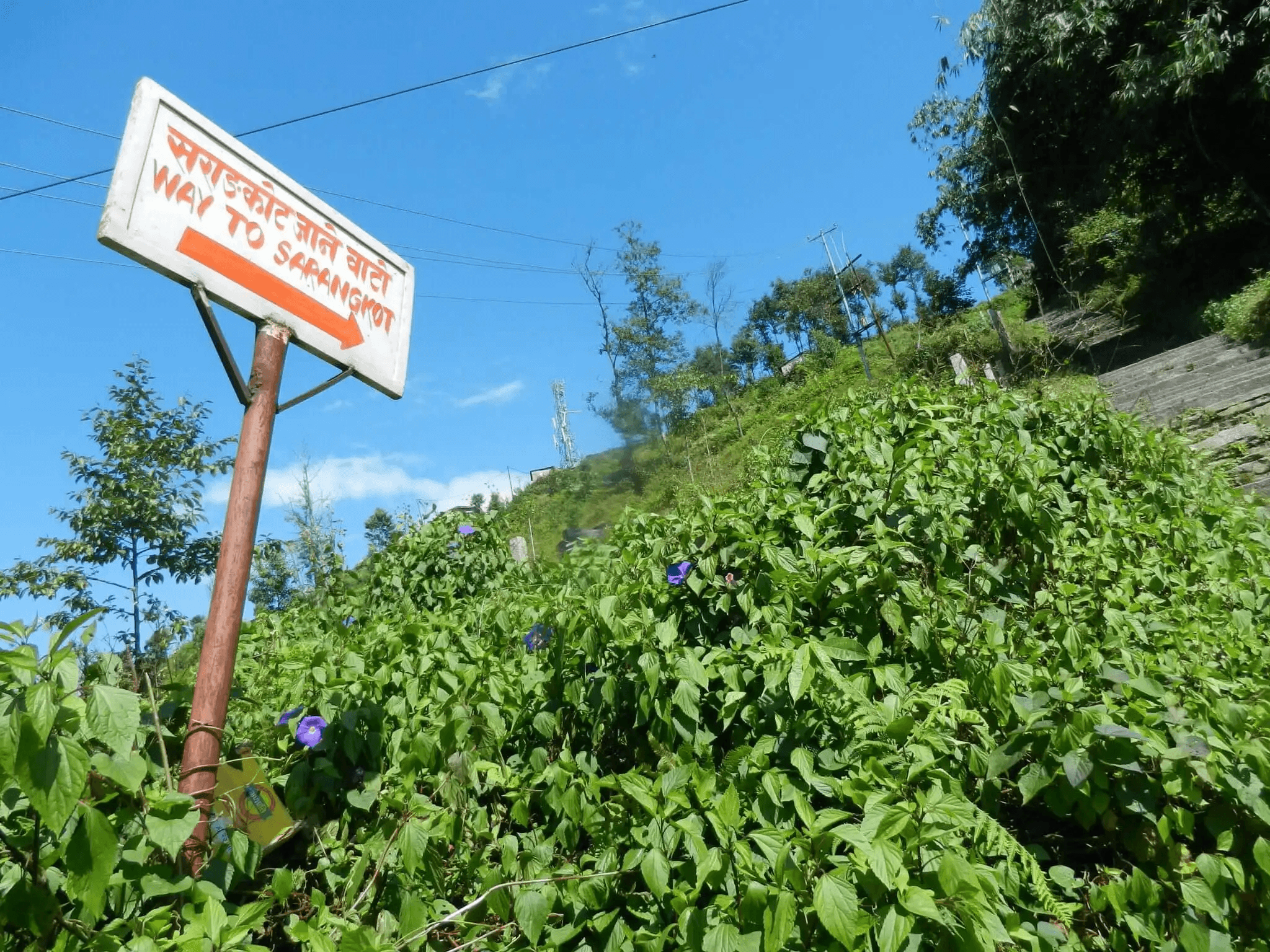 board showing way to sarangkot